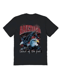 Мужская футболка COLAB89 America Land Of The Free с рисунком, черный Colab89 by threadless