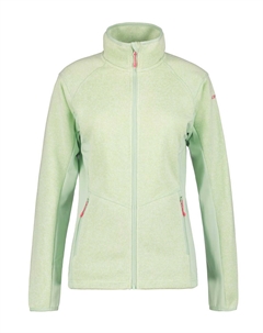 Толстовка BLEEKER, зеленый Icepeak