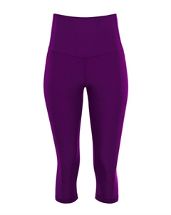 Леггинсы, цвет dark plum Winshape