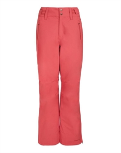 Брюки для лыж и сноуборда  CINNAMON, цвет Rusticrust Protest