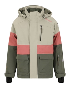 Куртка для лыж и сноуборда Skijacke Taylora, цвет 4330 Withered Rose Zigzag