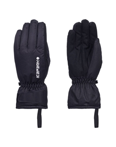 Перчатки Hayden, черный Icepeak