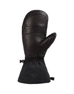 Варежки Phoenix Gore-Tex мужские, черный Dakine