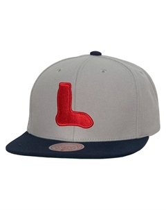 Мужская кепка Grey Boston Red Sox Cooperstown Collection Evergreen Snapback Mitchell and ness