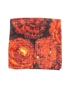 Шарфы, мультиколор Givenchy