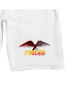 Мужские шорты для сна Fantastic Beasts Licensed character