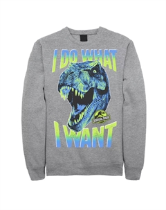 Мужской пуловер с капюшоном Jurassic Park T-Rex I Do What I Want Licensed character