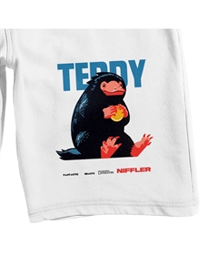 Мужские шорты для сна Fantastic Beasts 9 дюймов, черный Licensed character