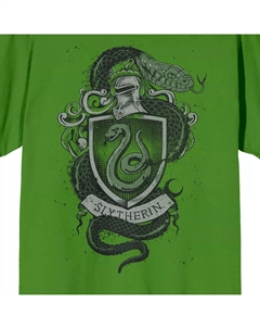 Мужская футболка с пальто Гарри Поттера и Слизерина Licensed character