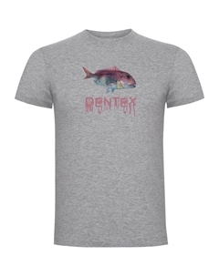 Футболка Dentex, серый Kruskis