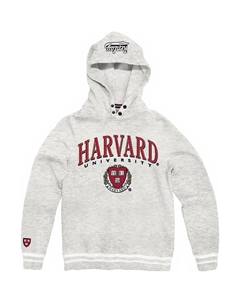 Худи Cotton, серый Replay