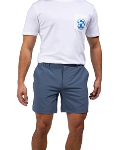 Шорты на каждый день – мужские, синий Chubbies