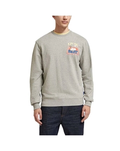 Толстовка 175379, серый Scotch&soda