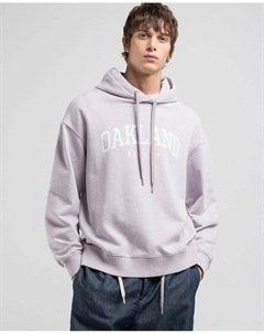 Мужская толстовка с капюшоном и рисунком спереди, сиреневый Replay