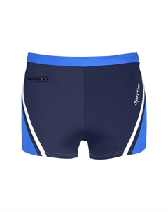 НОРАЛЬД плавки, синий Jan vanderstorm