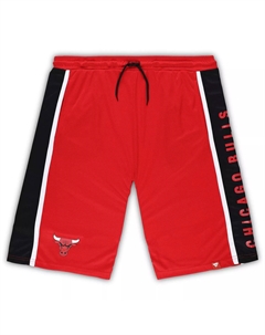 Мужские фирменные красные шорты Chicago Bulls Big & Tall Referee Iconic в сетку Fanatics