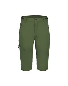 Брюки для тренировок и бега Ballard Hose, зеленый Icepeak