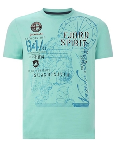 Футболка T-Shirt DOMINIK, бирюзовый Jan vanderstorm