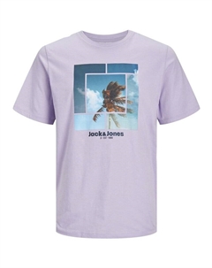 Мужская футболка целлокс, фиолетовый Jack & jones