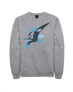 Мужской флисовый пуловер Jurassic World Pterodactyl с геометрическим полиграфическим рисунком Licensed character