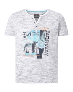 Футболка с принтом BALTFRIED, серый Jan vanderstorm