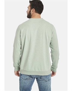 Толстовка ALFI, светло-зеленый Jan vanderstorm