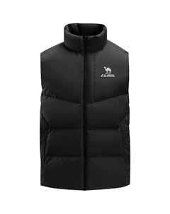 Теплый флисовый жилет для мужчин, темно-оливковый Camel