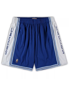 Мужские шорты Royal Los Angeles Lakers Big & Tall Hardwood Classics Team Swingman Mitchell and ness