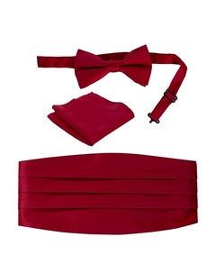 Мужской регулируемый комплект из атласа и пояса с узором пейсли, цвет Burgundy Gioberti