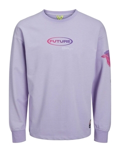 Толстовка Digital, цвет Purple/Lavender Jack & jones