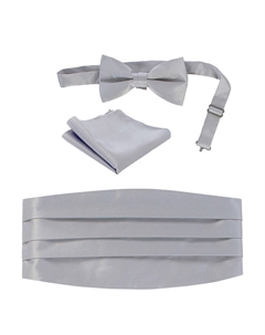 Мужской регулируемый комплект из атласа и пояса с узором пейсли, цвет Silver Gioberti