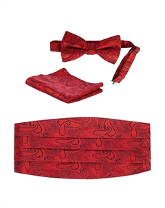 Мужской регулируемый комплект из атласа и пояса с узором пейсли, цвет Red Paisley Gioberti