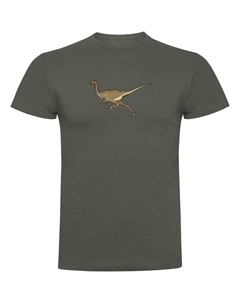 Футболка Dino Run, зеленый Kruskis