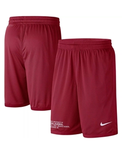 Мужские шорты в сетку Oklahoma Earlys Performance малинового цвета Nike