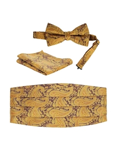 Мужской регулируемый комплект из атласа и пояса с узором пейсли, цвет Gold Paisley Gioberti