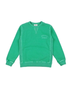 Толстовка, зеленый Woolrich