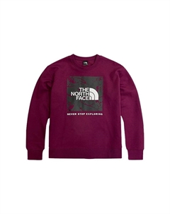 Толстовка мужская красная, красный The north face