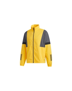 Куртка мужская золотая, цвет Gold Adidas