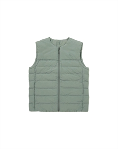 Жилет мужской зеленый, зеленый The north face