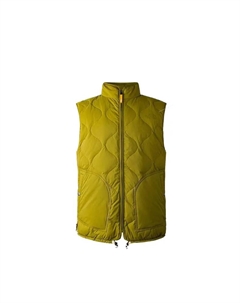 Жилет мужской светло-зеленый, светло-зеленый The north face