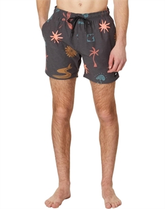 Плавки Party Pack 16" Volley, цвет Multico Rip curl