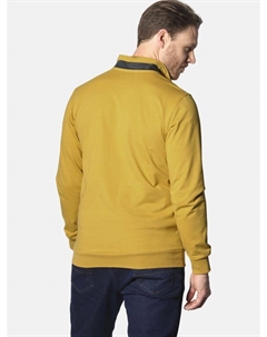 Спортивная куртка ANDTARSEN, цвет dunkelgelb Jan vanderstorm