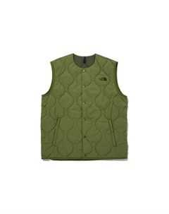 Жилет мужской зеленый, зеленый The north face