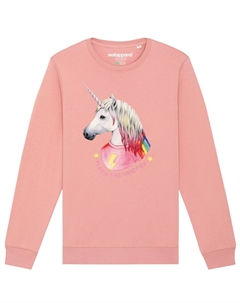 Свитер Sweatshirt Flash, the unicorn, розовый Watapparel