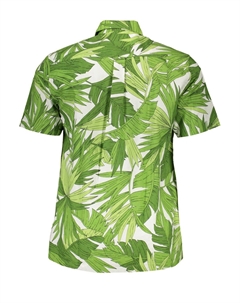 Мужская рубашка Chic стандартного кроя из органического хлопка, зеленый Gant