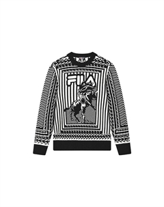 ФИЛА Мужской свитер, цвет Black Fila