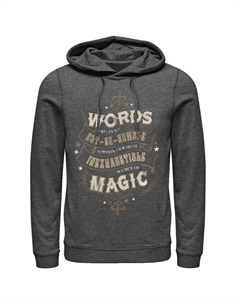 Мужской пуловер с капюшоном Words is Magic Harry potter