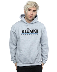 Толстовка «Равенкло» для выпускников Хогвартса, серый Harry potter