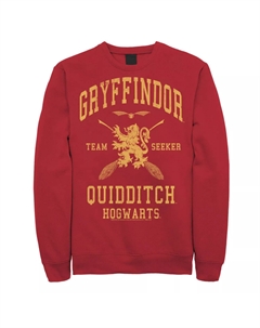 Мужская толстовка с изображением охотника команды Гриффиндора по квиддичу Harry potter