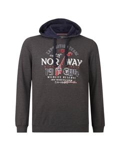 Толстовка ХИНРИКУС, темно-серый Jan vanderstorm